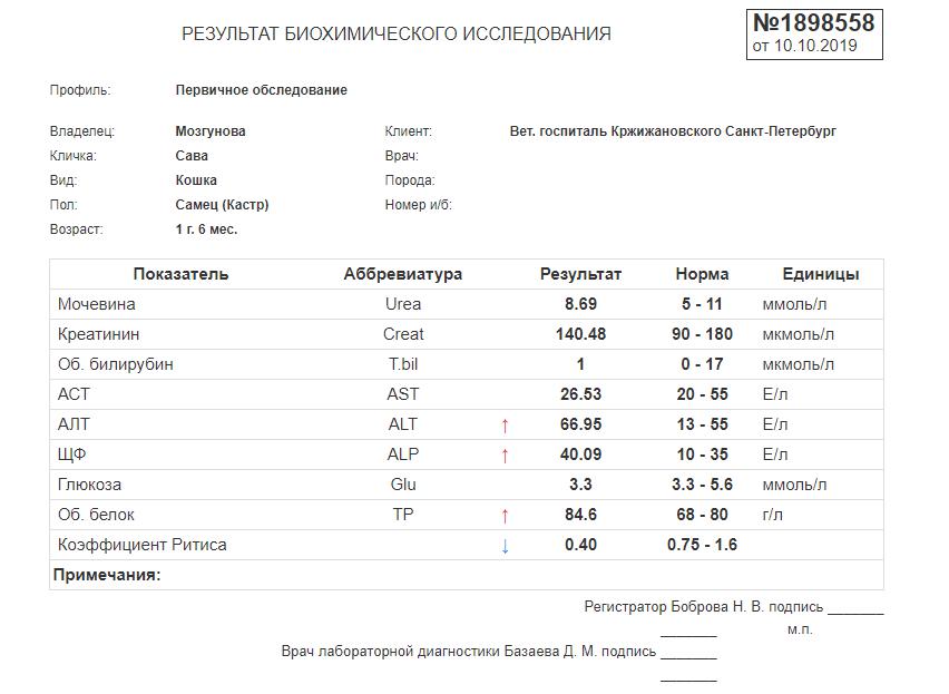 Анализы петербург. СПБ В анализе крови что это такое. Анализы СПБ. Общий анализ СПБ. Лаборатории анализов в СПБ.