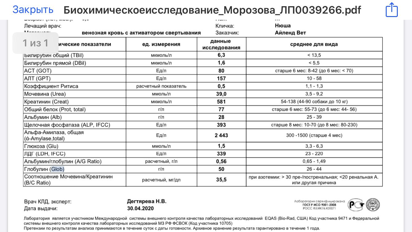 Анализ мочи алт. Гломерулонефрит биохимия крови при гломерулонефрите.