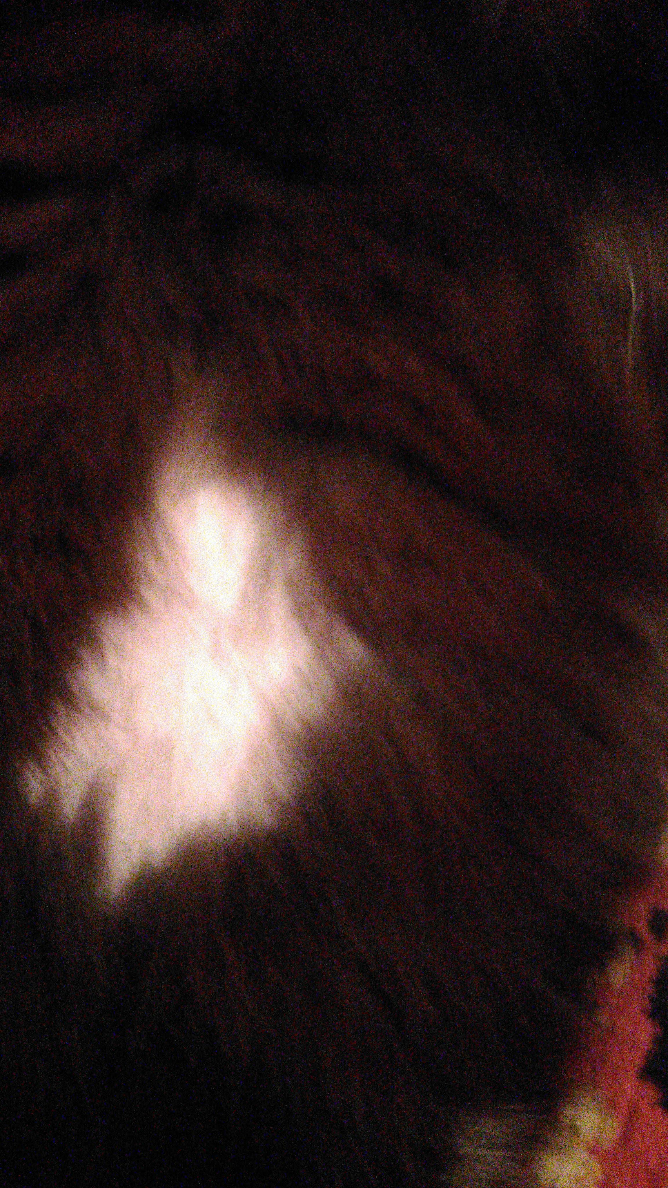 Кошка выгрызает шерсть и чешется, врачи не могут поставить диагноз