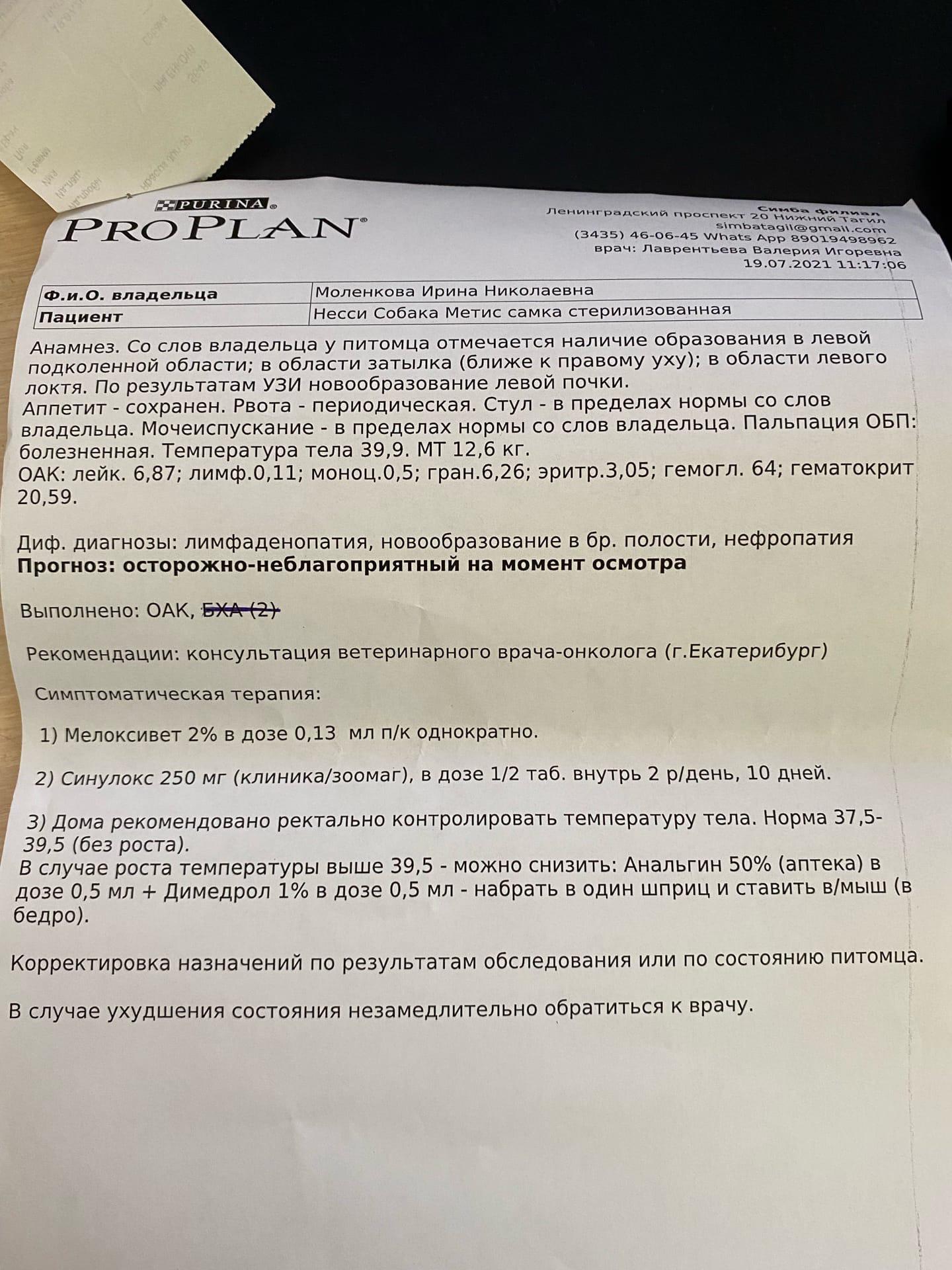 Консультация ветеринара-онколога, бесплатная консультация ветеринара -  вопрос задан пользователем Arina Molenkova про питомца: собака Без породы  (дворняжка)