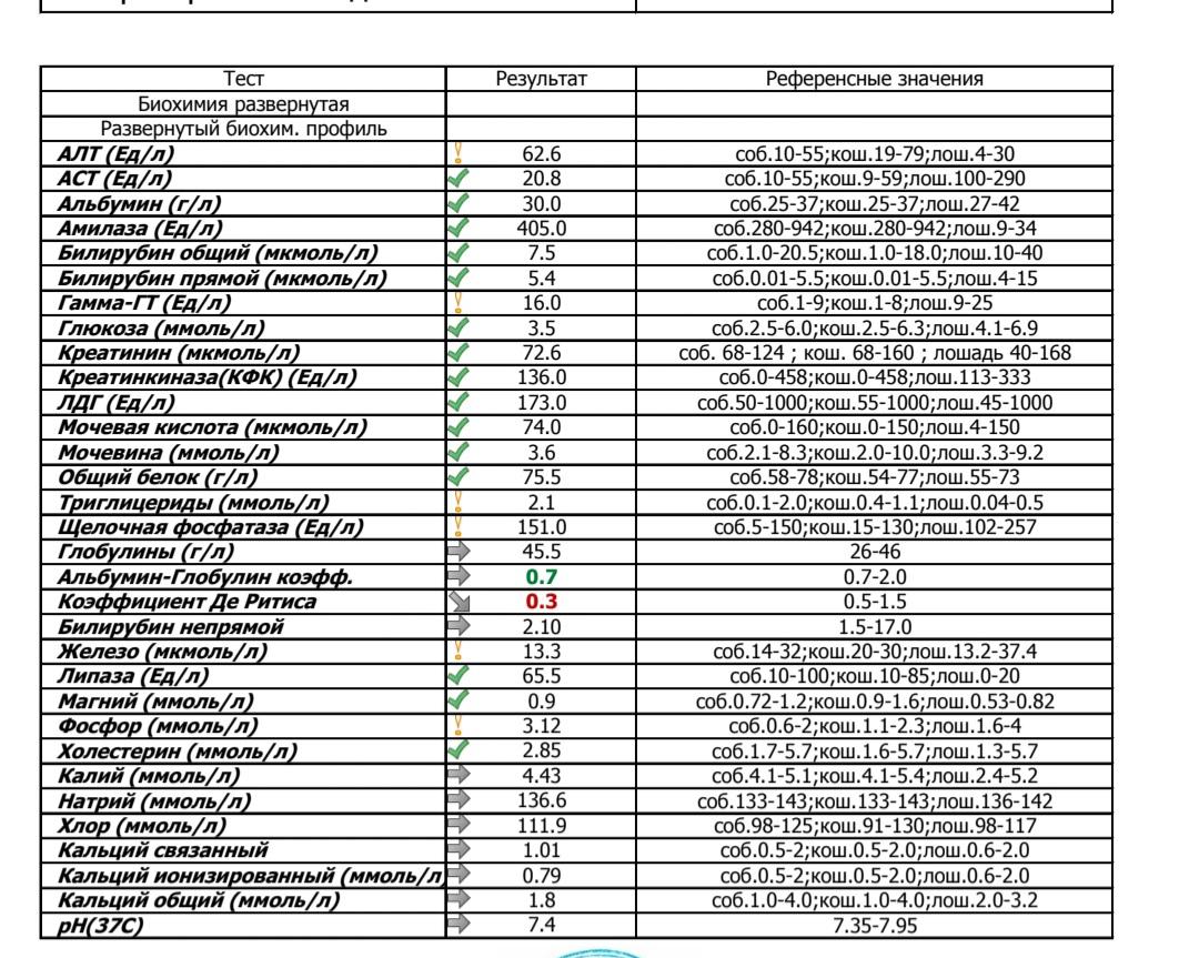 Коэффициент ритиса у собак понижен что это. Коды исследования крови. Ионизированный кальций анализ.