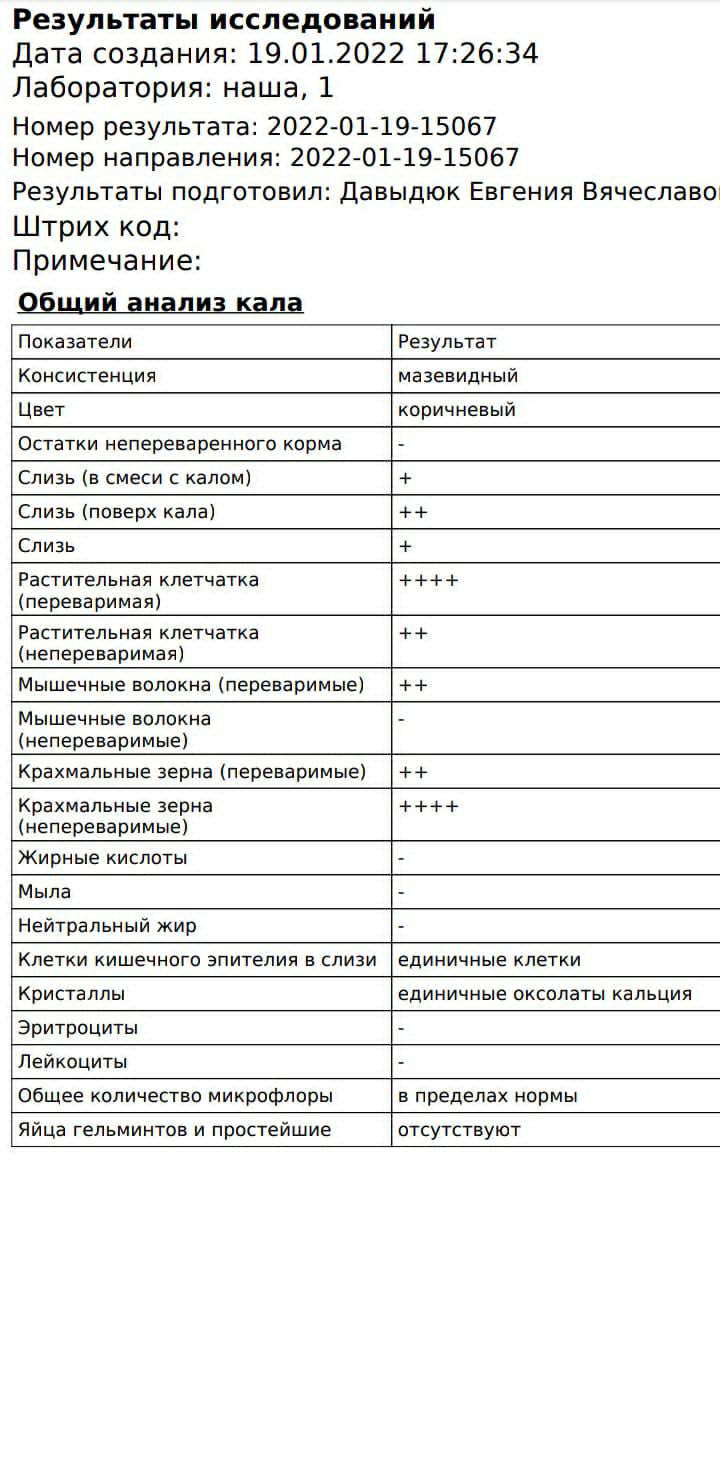 Анализ кала у кота. Анализ кала расшифровка. Анализ кала у кота расшифровка. Норма анализа кала у кота.