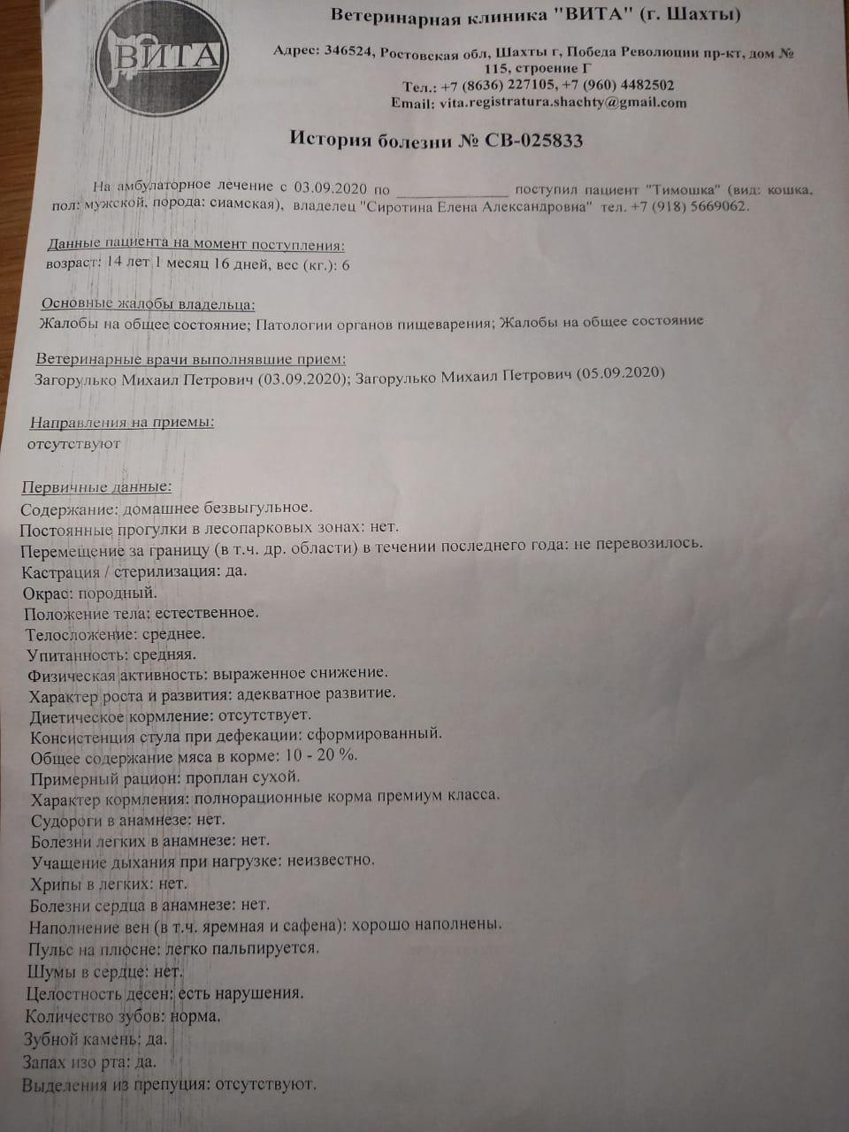 Кот не ест и не пьет, бесплатная консультация ветеринара - вопрос задан  пользователем Евгения Сиротина про питомца: кошка Тайская