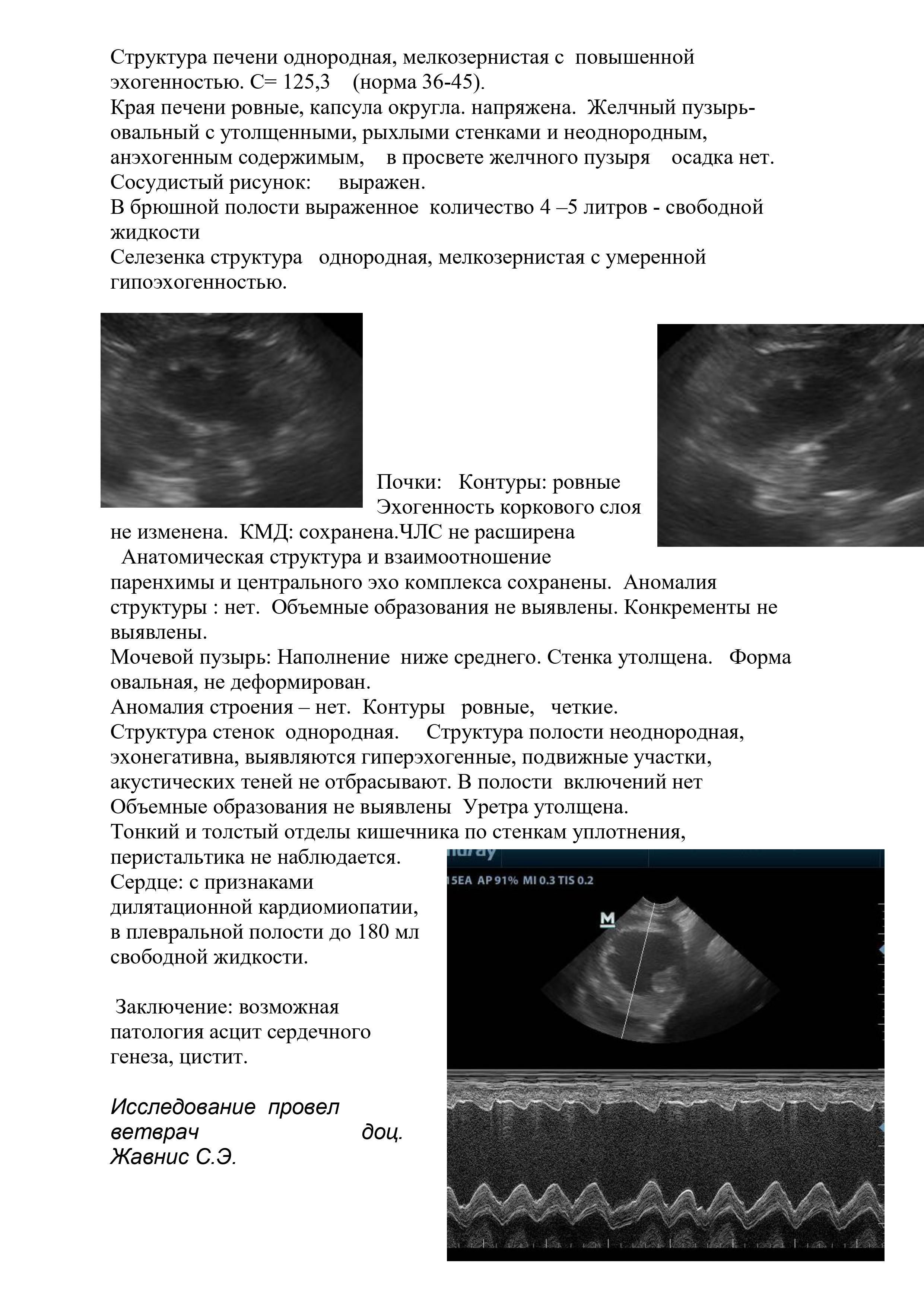 У собаки асцит, 12 лет, сильно распухла, бесплатная консультация ветеринара  - вопрос задан пользователем Ирина Морозова про питомца: собака Без породы  (дворняжка)