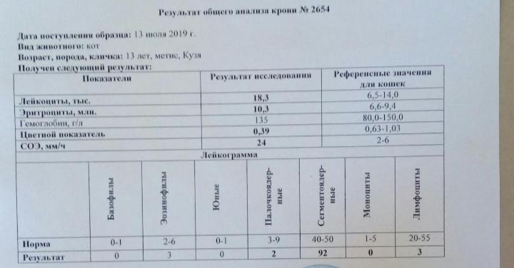 Бланк биохимического анализа крови образец чистый бланк