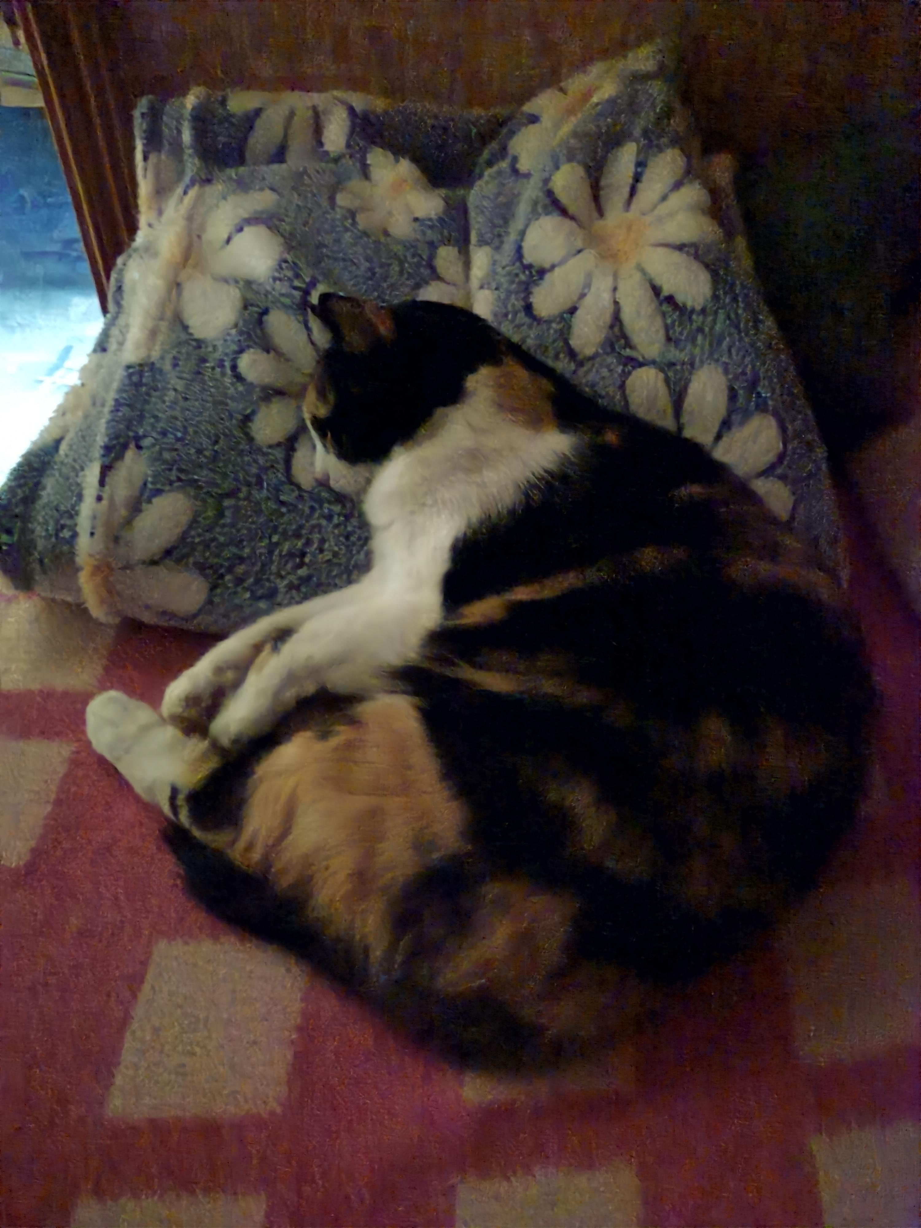 Кошка дрожит во сне, бесплатная консультация ветеринара - вопрос задан  пользователем sksyusha sks про питомца: кошка Без породы (домашняя кошка)
