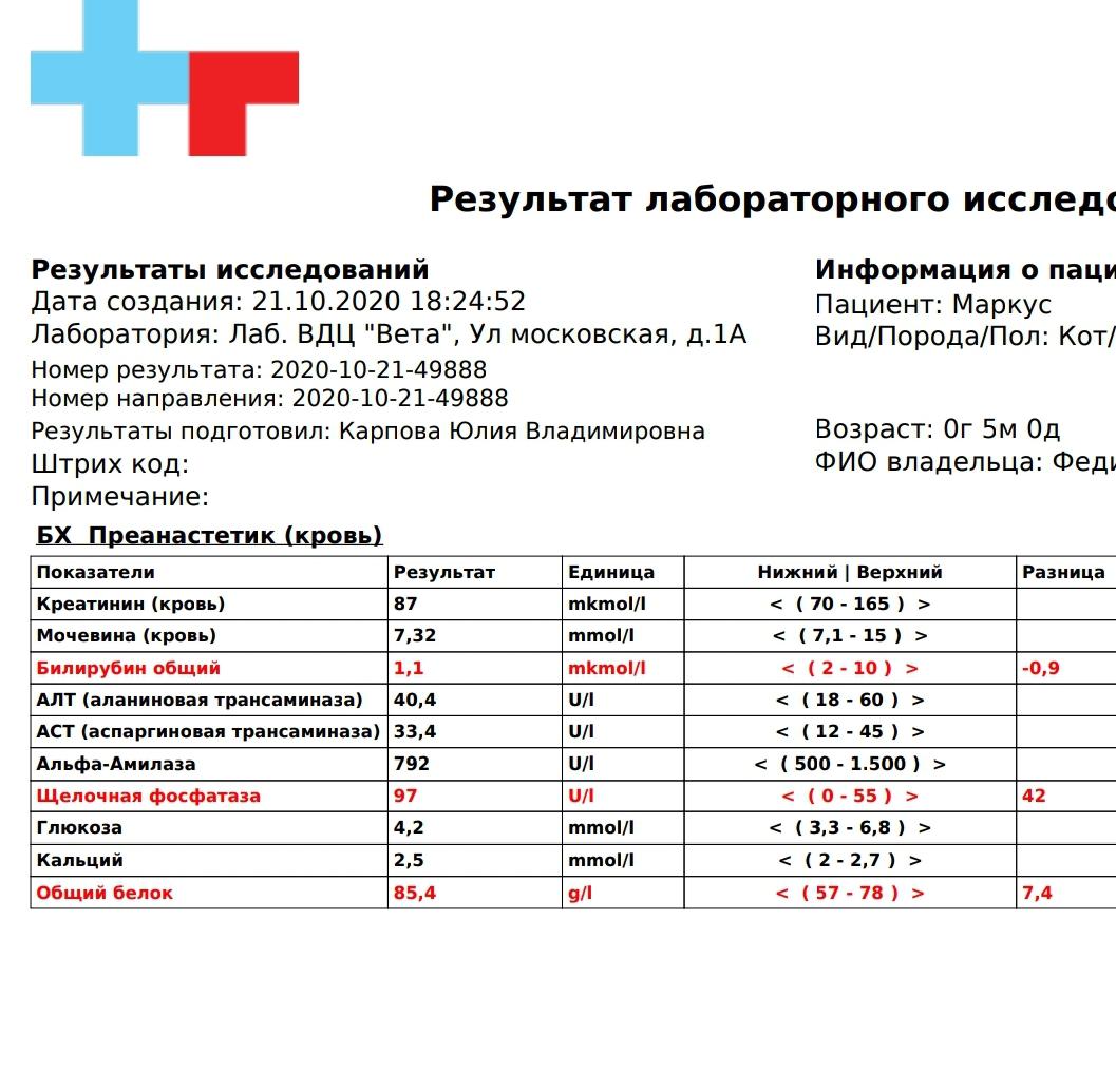 Расшифровка анализа, бесплатная консультация ветеринара - вопрос задан  пользователем Ирина Федик (Антонова) про питомца: кошка Без породы  (домашняя кошка)