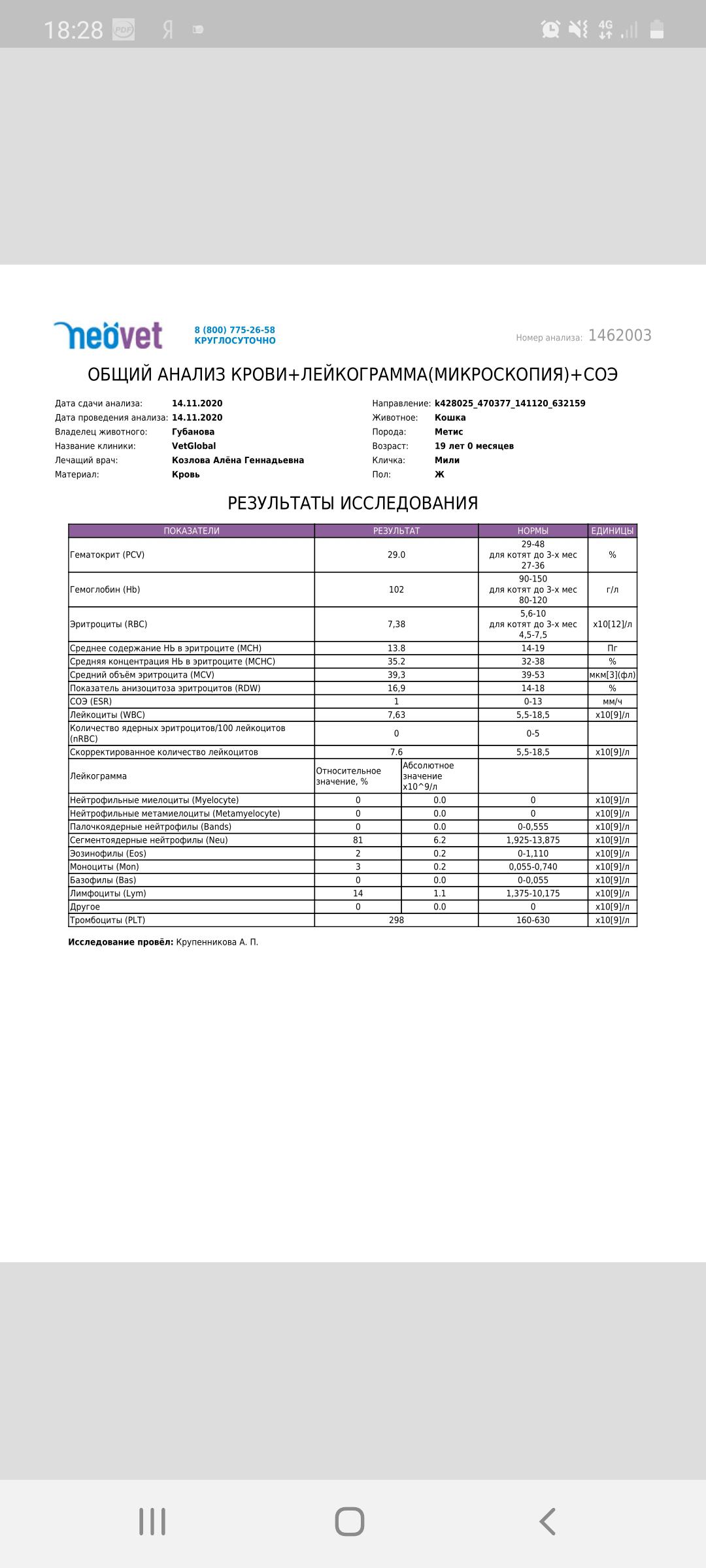Анализы коту. Анализ крови при пиометре у кошки. Лейкограмма. Ана анализ крови. Общий анализ с лейкограммой кошки норма.
