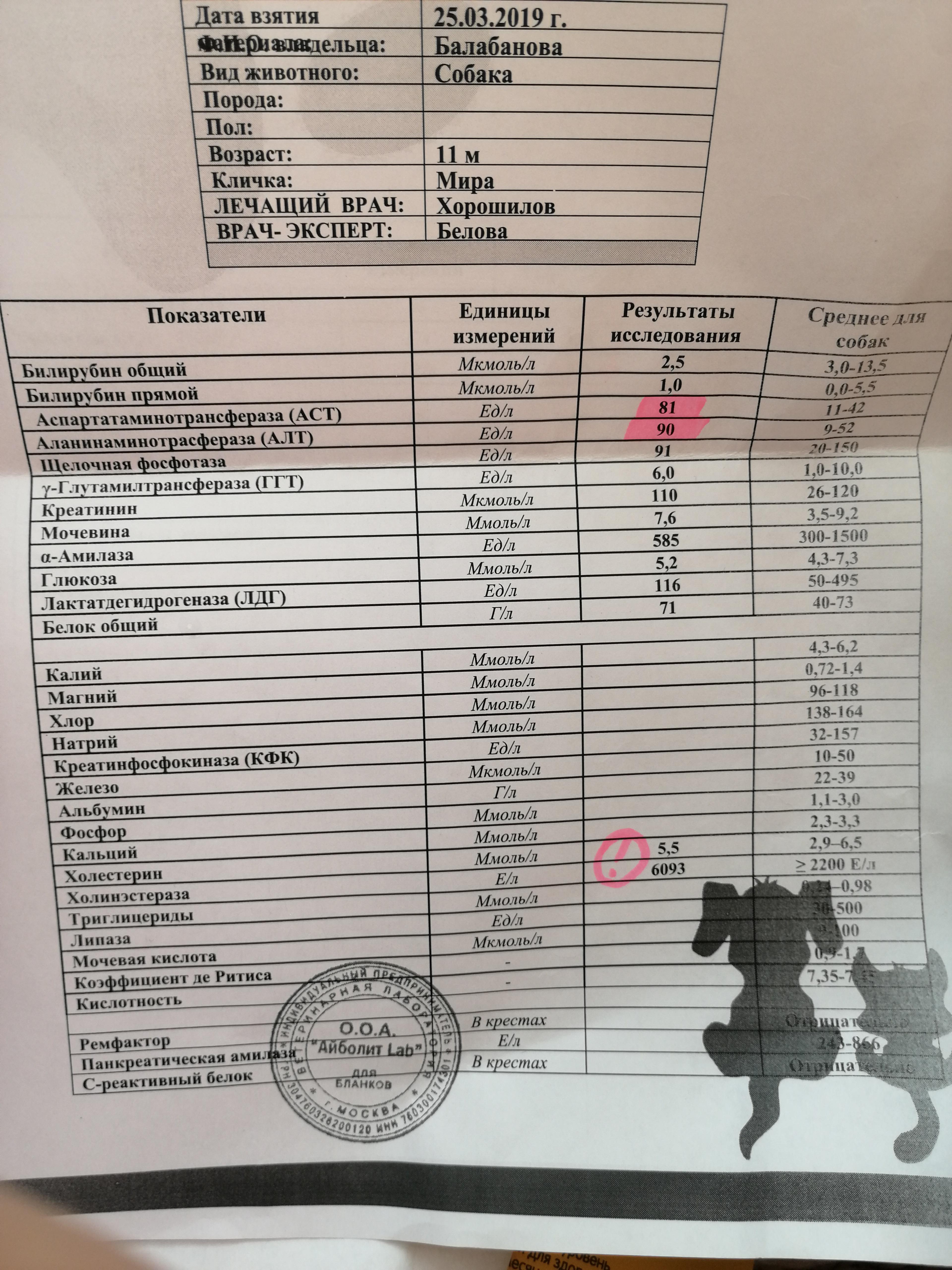 Пить перед анализами. Анализ крови на алкоголь расшифровка. Расшифровка анализа биохимии на алкоголь. Анализ на алкоголь в крови показатели. Сдт анализ крови на алкоголь.