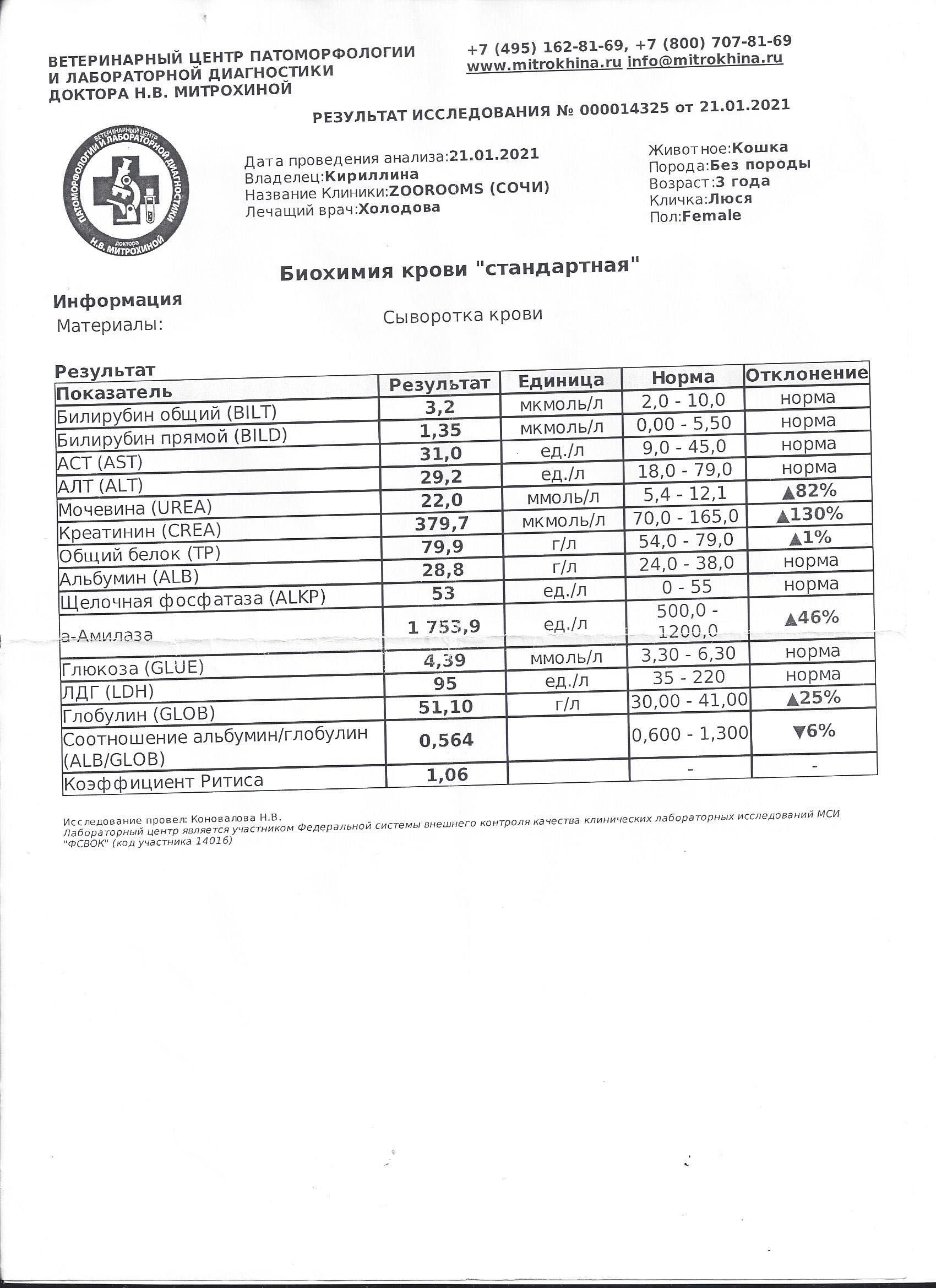 План клинического осмотра