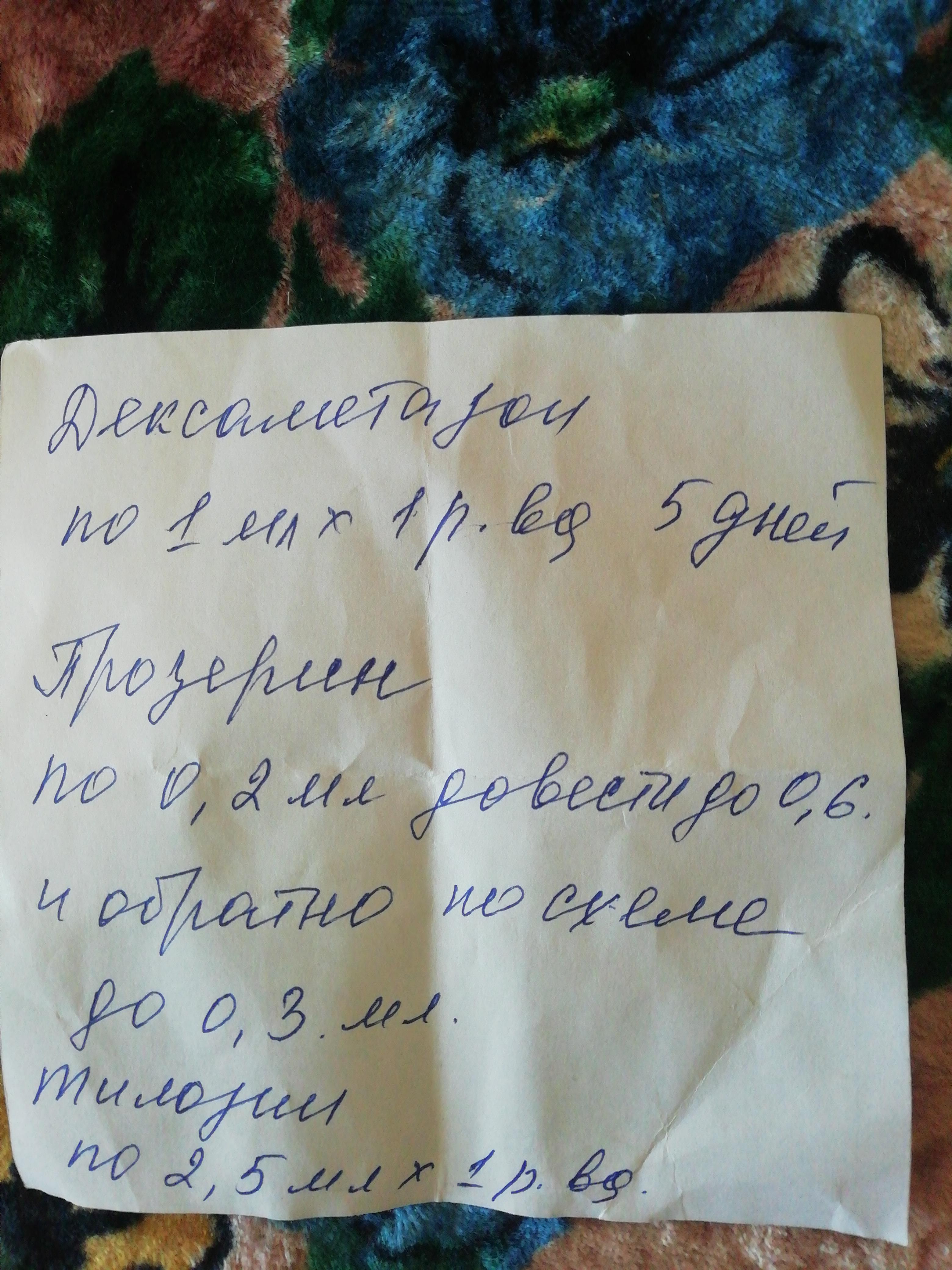 Заболела собака породы Хаски, бесплатная консультация ветеринара - вопрос  задан пользователем A К про питомца: собака Сибирский хаски